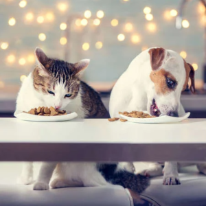 Animaux
